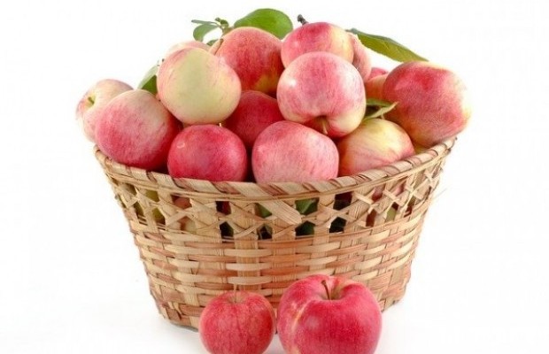 Польза яблок для здоровья человека
