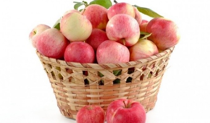 Польза яблок для здоровья человека
