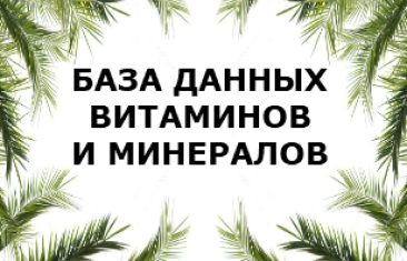 Тест  наличие витаминов