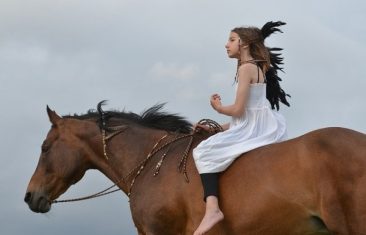Верховая езда — как лечебная гимнастика