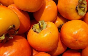 Хурма для вашего здоровья